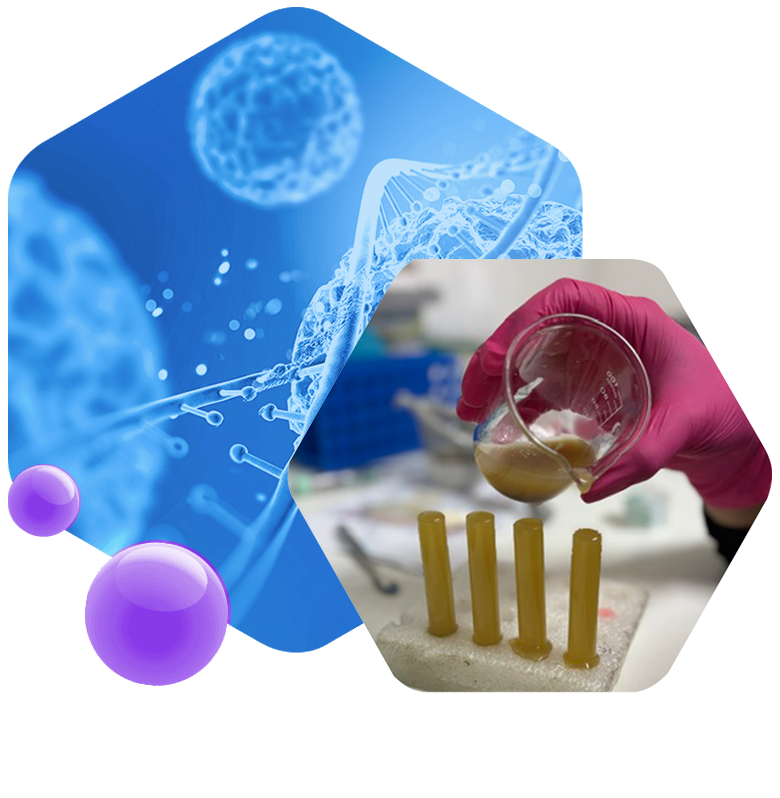 Laboratorio veterinario para perros y gatos en Viña del Mar Microcell Vet