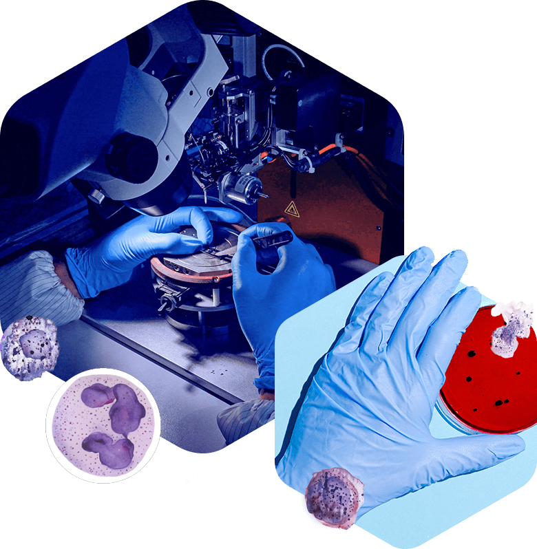 Diagnóstico de laboratorio veterinario para perros y gatos